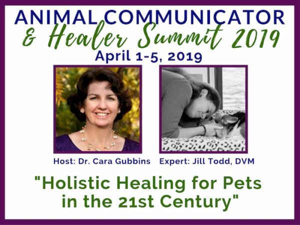 2019 Animal Communicator & Healing Summit - Jill Todd, DVM Interview