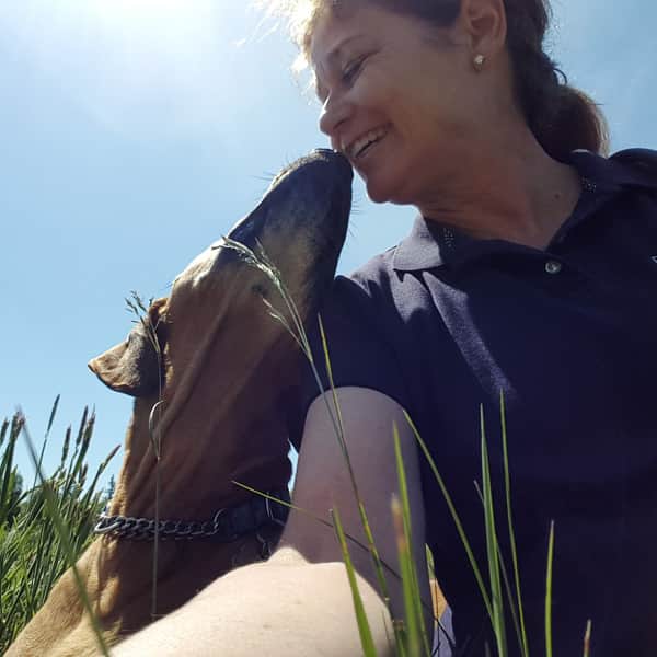 Jill Todd, DVM Holistic Veterinarian Pet Care 