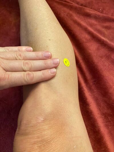 Wellness acupressure point located 3 fingers below your knee and to the outside of your leg