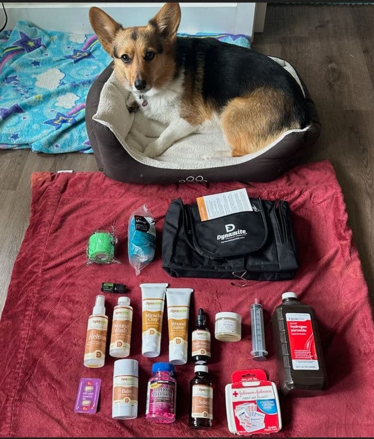 Vixie ready with all the essentials in our First Aid kit for the car.