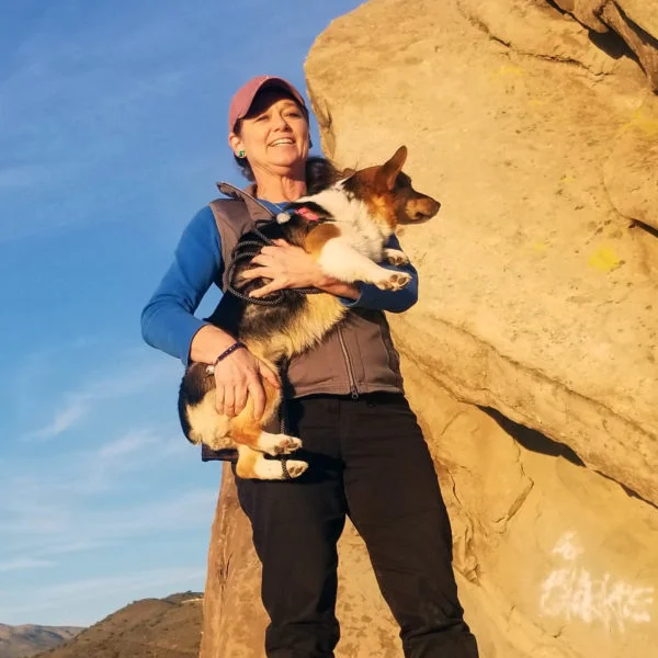 Jill Todd, DVM Holistic Veterinary Pet Care